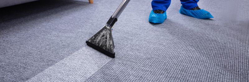 Professional Carpet Cleaning Process