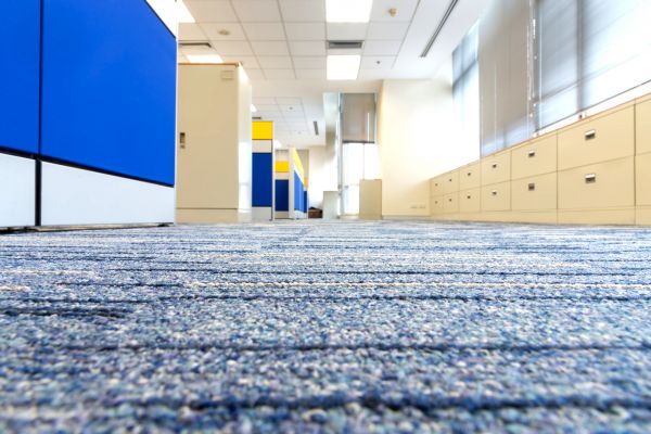Business Carpet Cleaning in Goodyear
