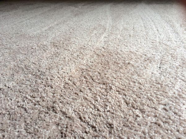 Plush Carpet Installation in Goodyear